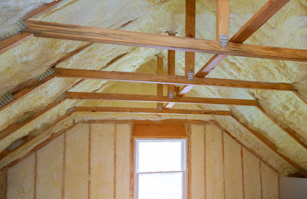 Best Commercial Insulation in Lexington, TX