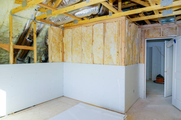 Best Eco-Friendly Insulation in Lexington, TX