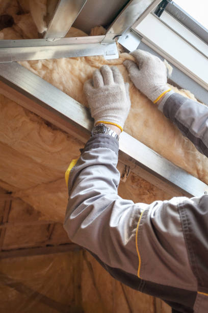 Types of Insulation We Offer in Lexington, TX