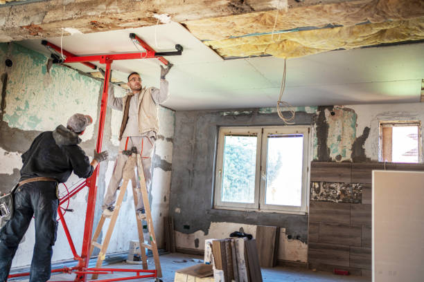 Best Specialized Insulation Services in Lexington, TX