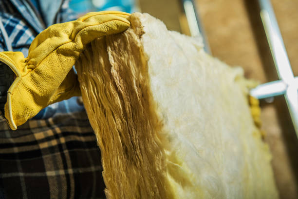 Best Geographic-Specific Insulation Services in Lexington, TX
