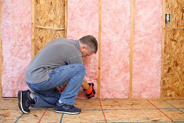 Professional Insulation Contractor in Lexington, TX